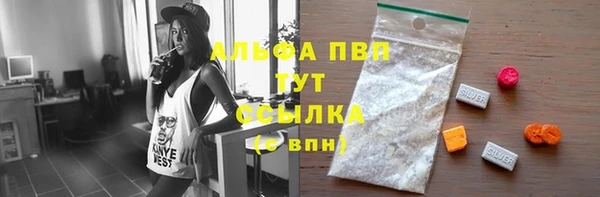 PSILOCYBIN Абаза