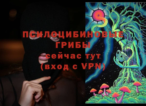 PSILOCYBIN Абаза